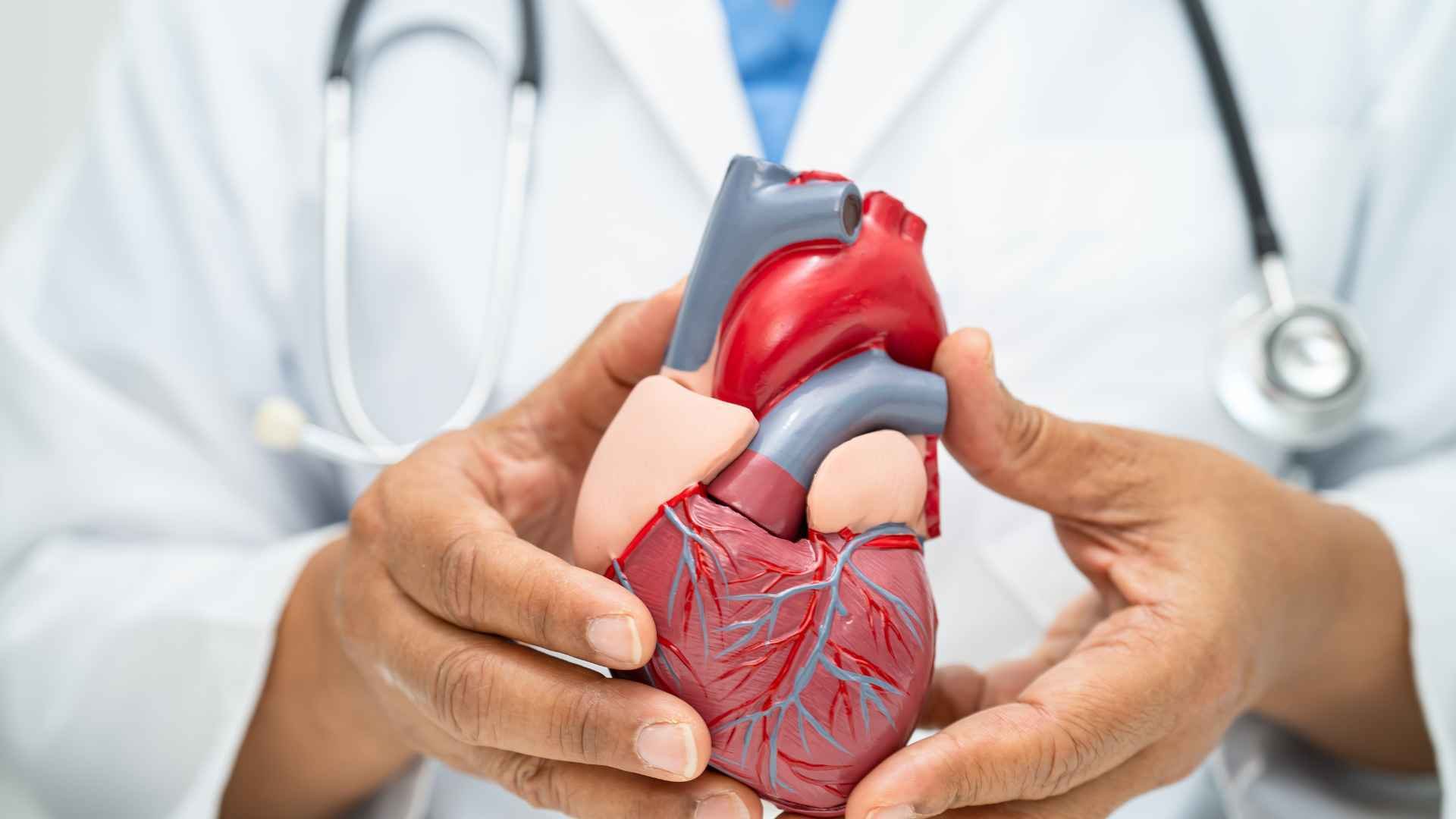 Enfermedades Cardiovasculares Cuáles Debes Conocer