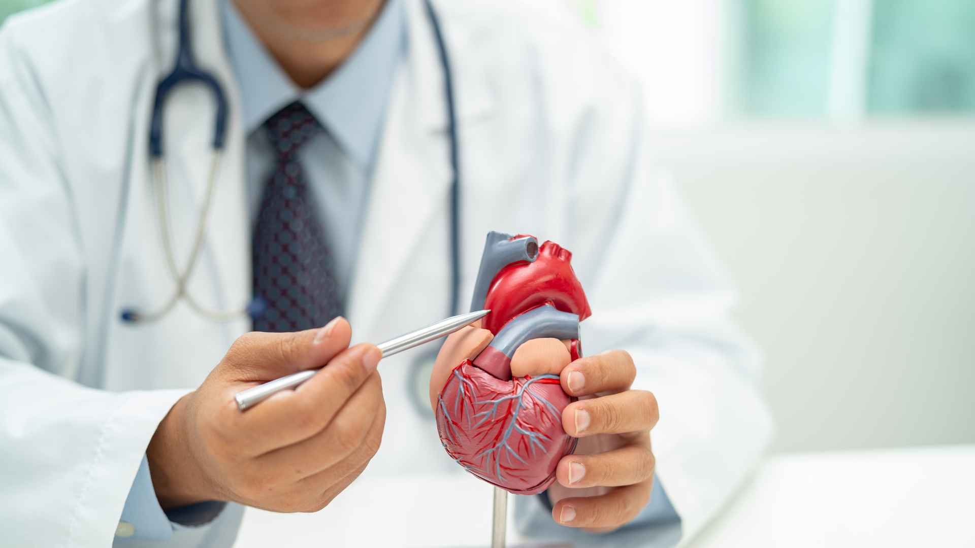 Enfermedades del Sistema Cardiovascular Qué Debes Tener en Cuenta