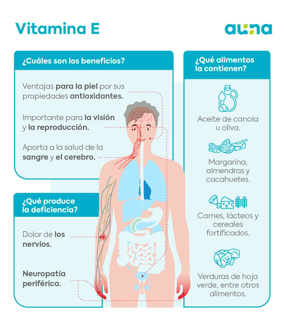 Beneficios De La Vitamina E En La Piel Y Cómo Aplicar Este Antioxidante Natural 6958