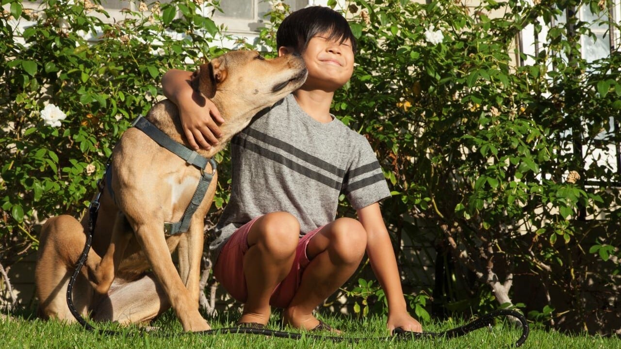 beneficios de tener un perro para los niños