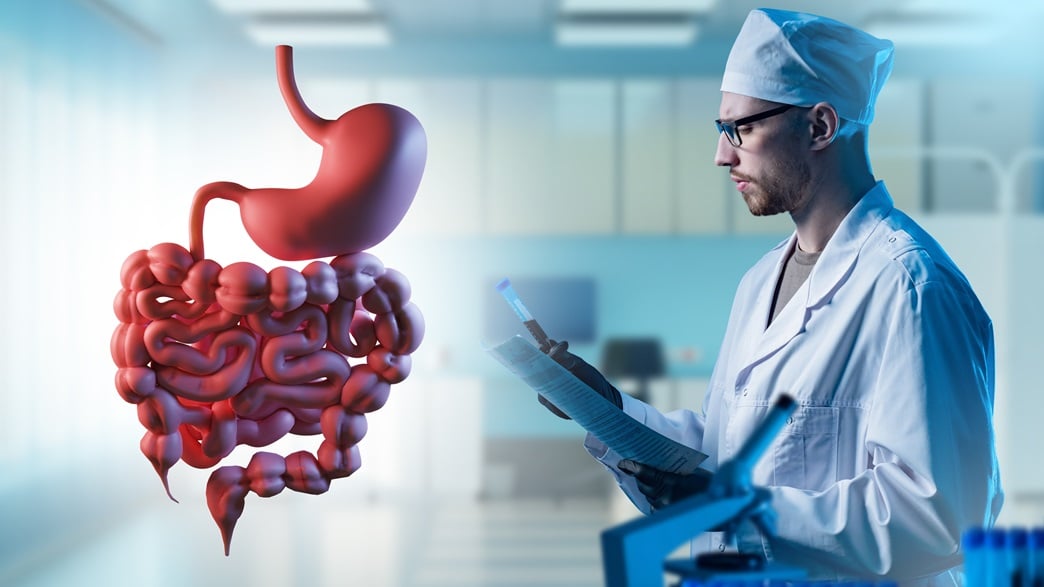 como cuidar el sistema digestivo 2
