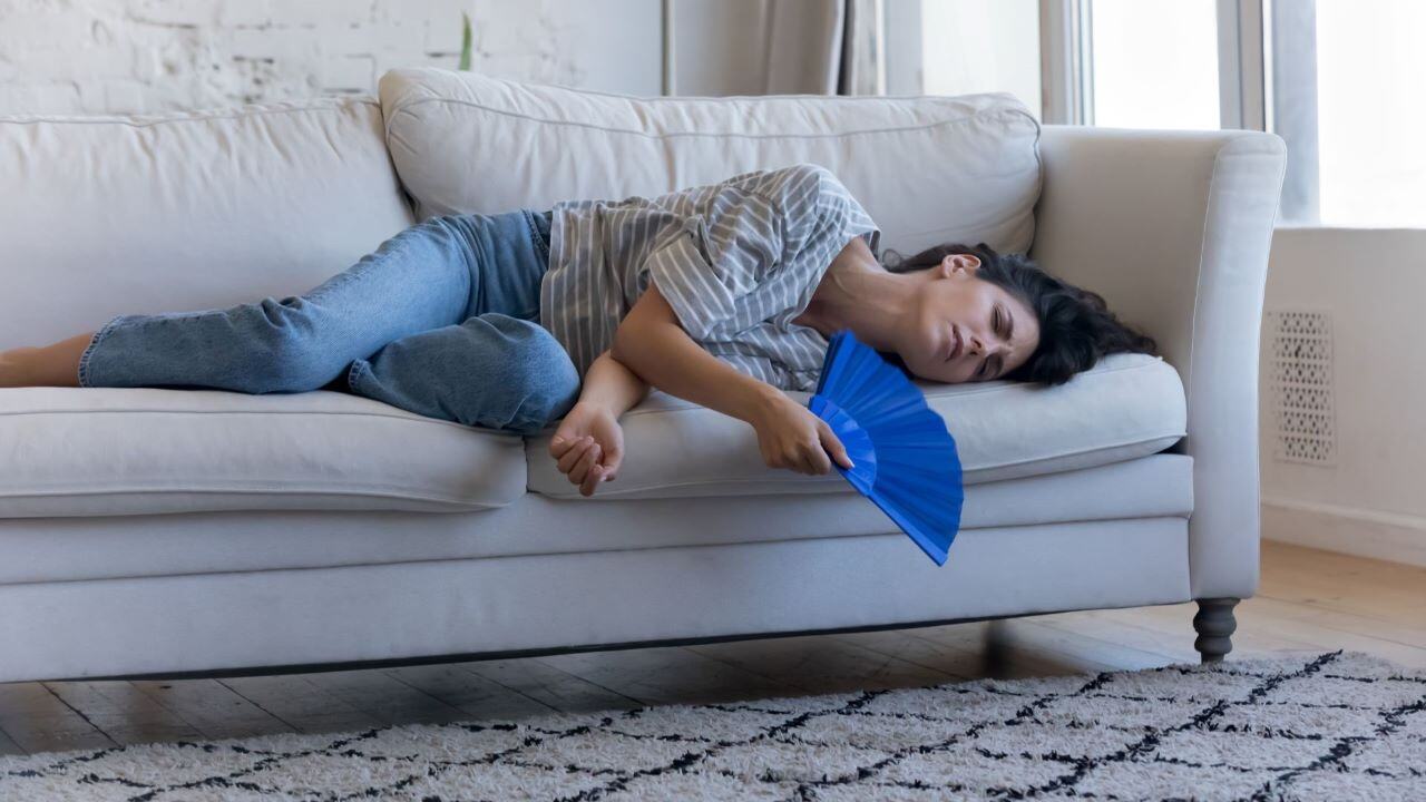 consecuencias de la ola de calor