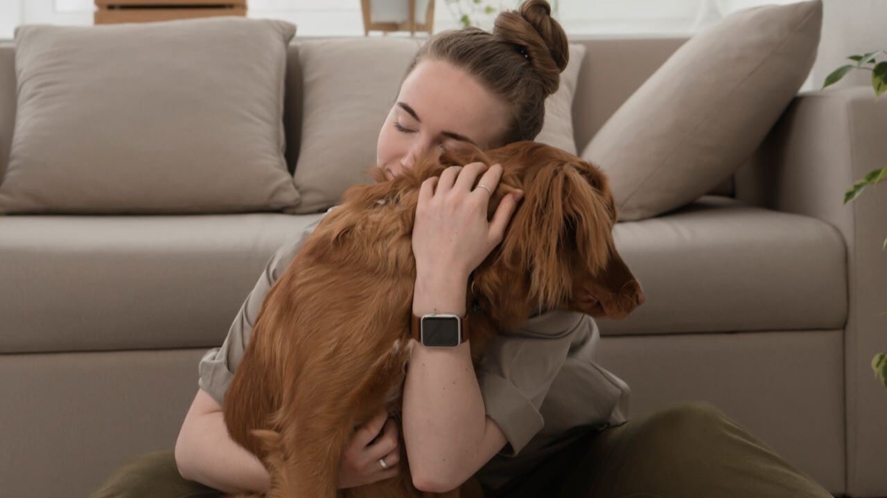 cuidar una mascota es bueno para tu salud