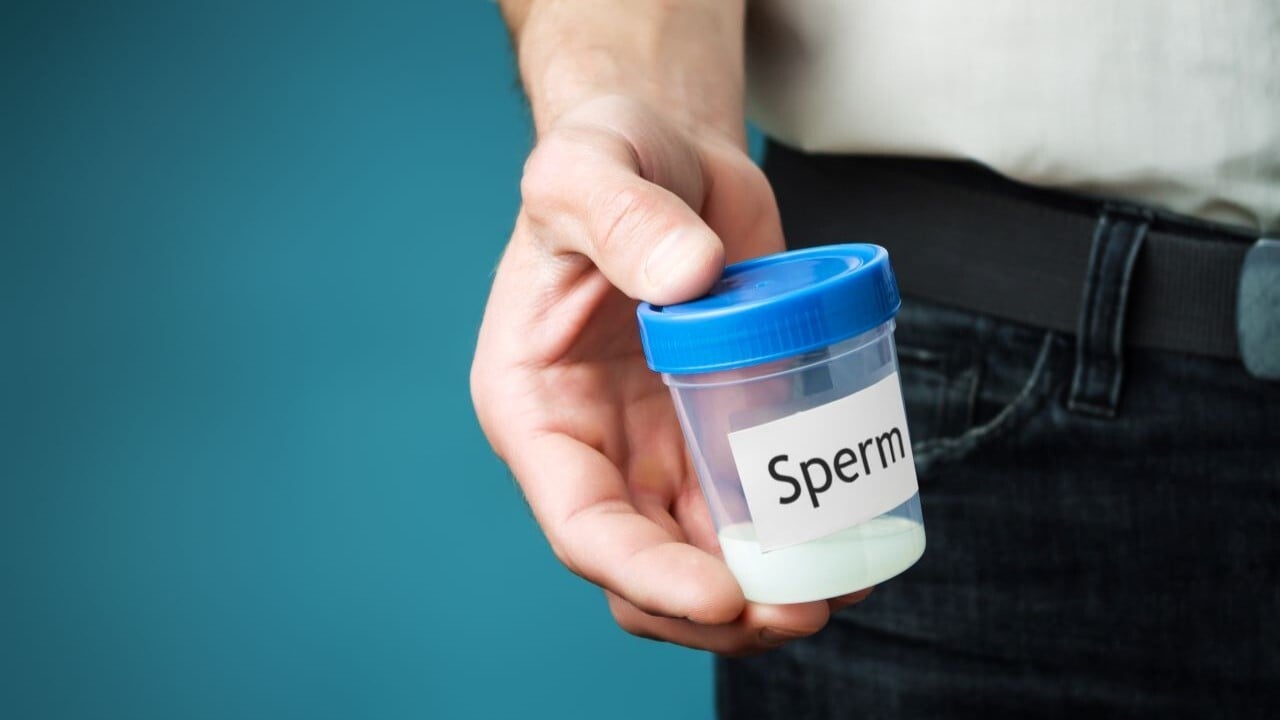 donador de esperma
