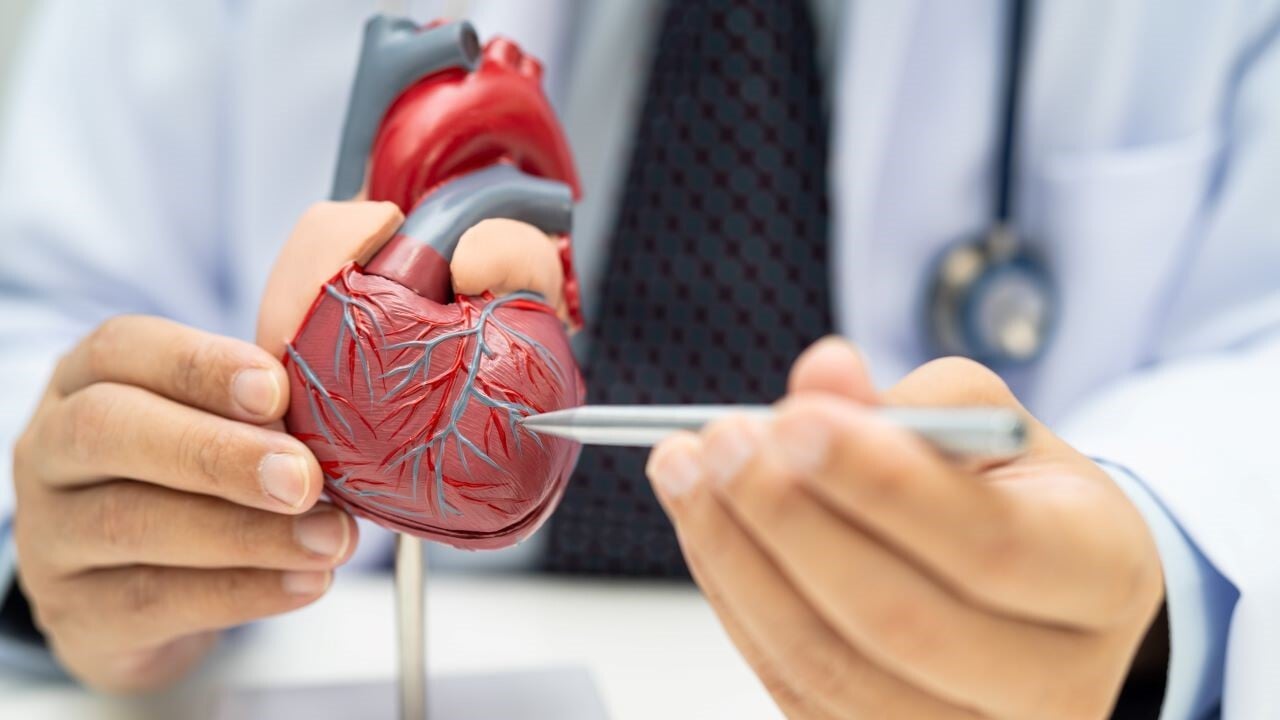 especialista en cardiologia adecuado