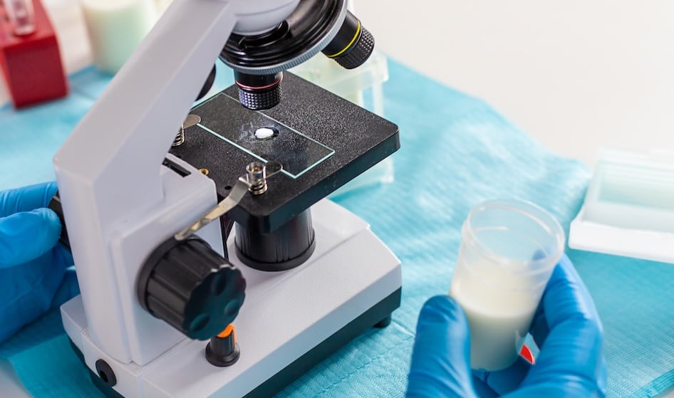 fertilidad masculina 2