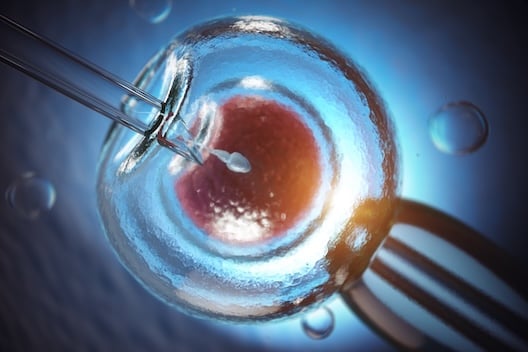 inseminacion_artificial 1