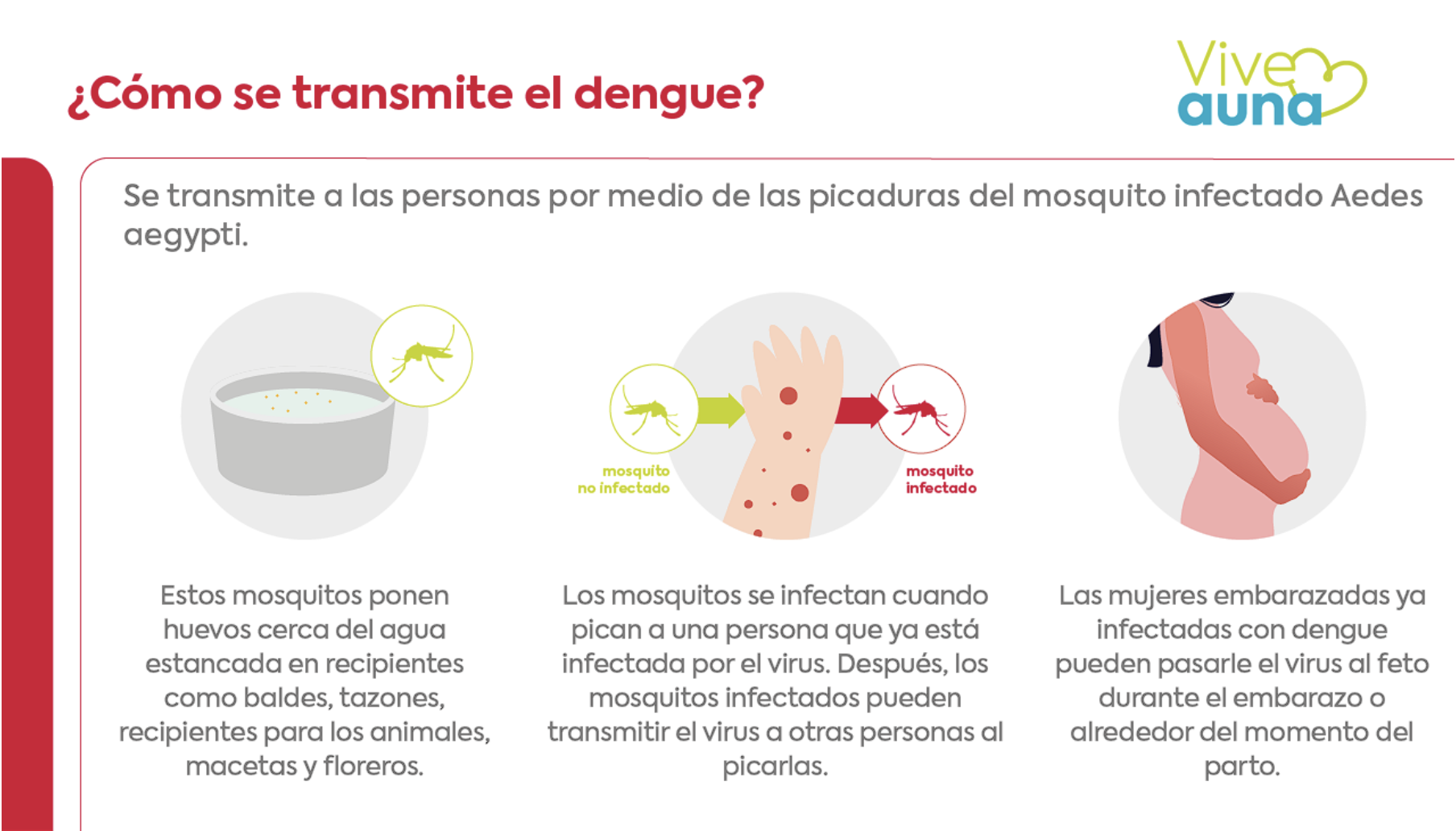 prevencion-de-dengue