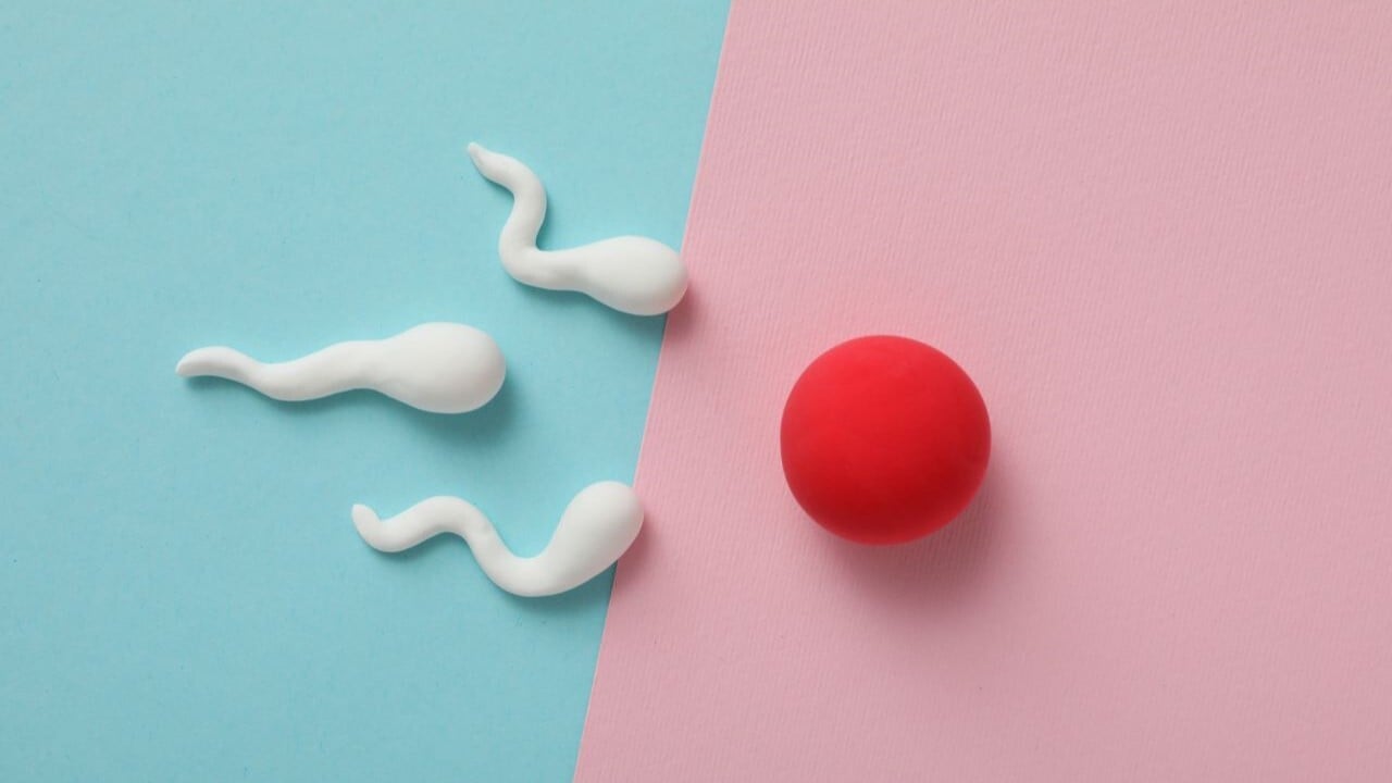 que es infertilidad cuando sucede