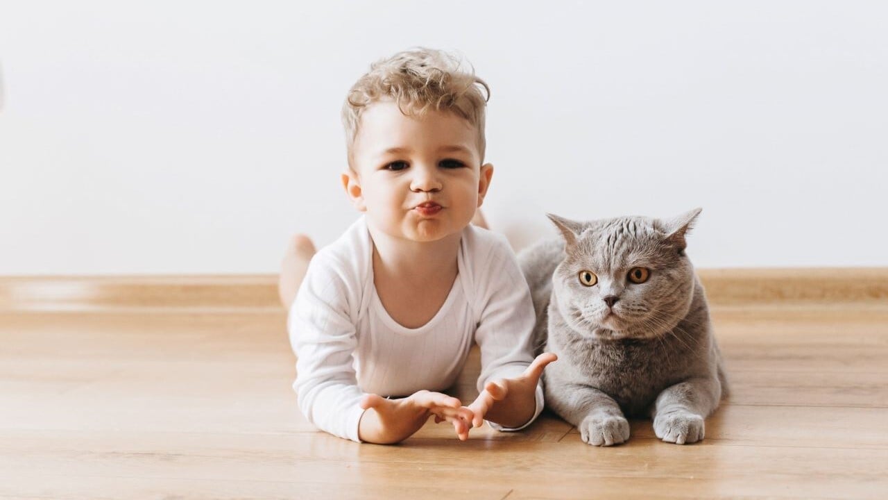 teoria de la higiene mascotas y niños