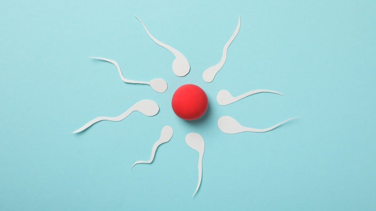 tipos de infertilidad segun genero