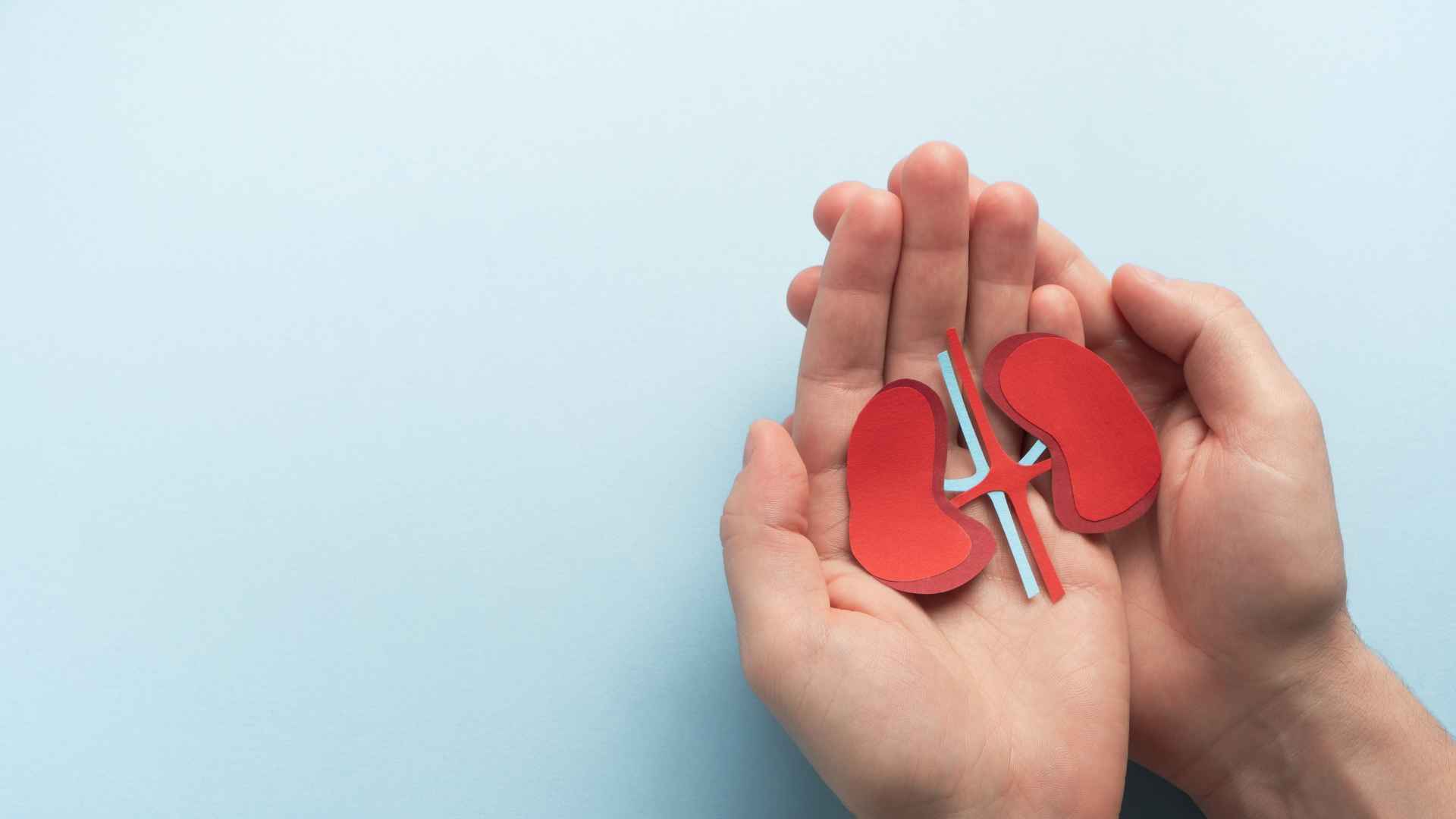 Día Mundial del Riñón: la consciencia que debemos tener
