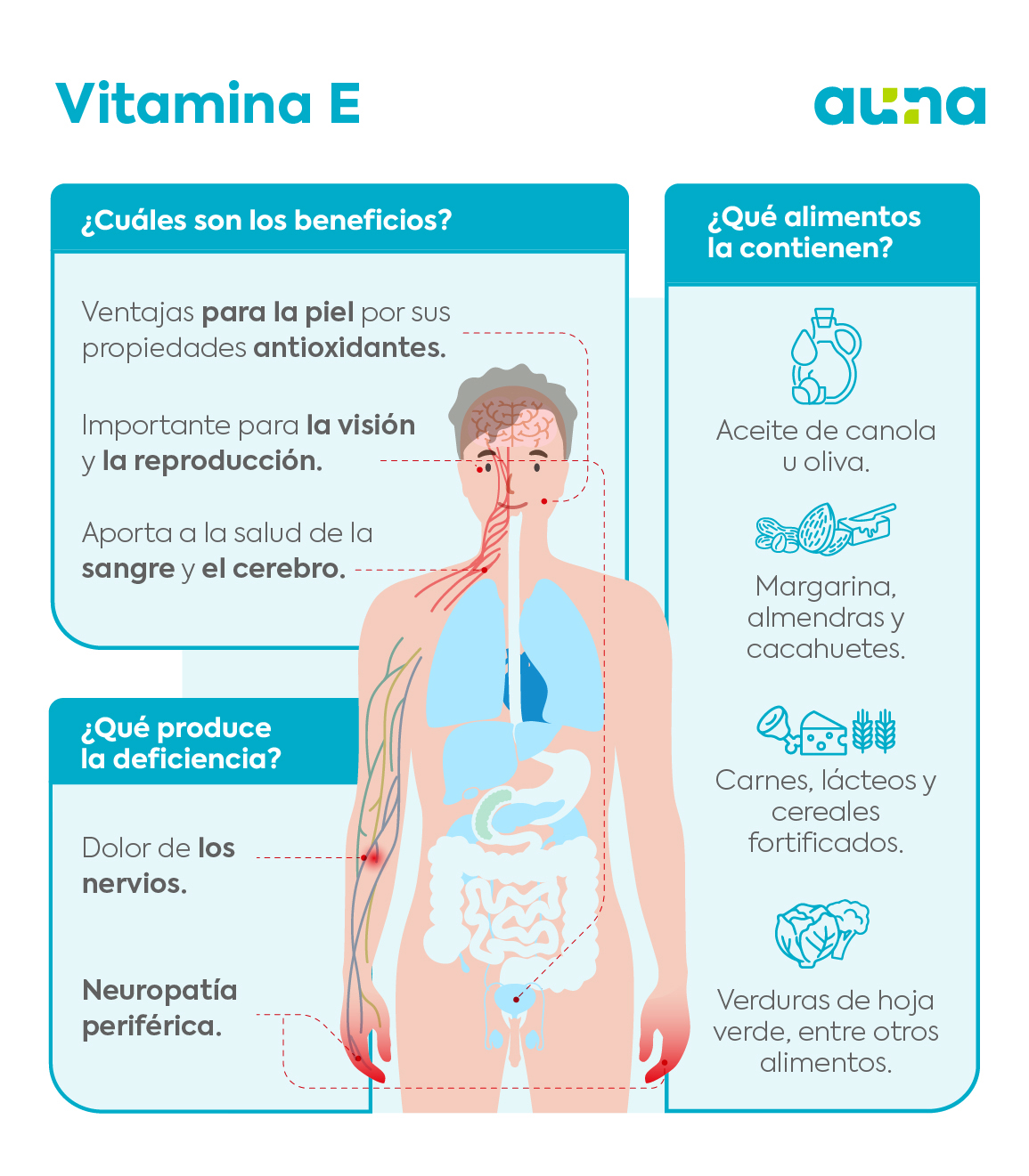 Beneficios de la vitamina la piel y cómo aplicar este antioxidante natural