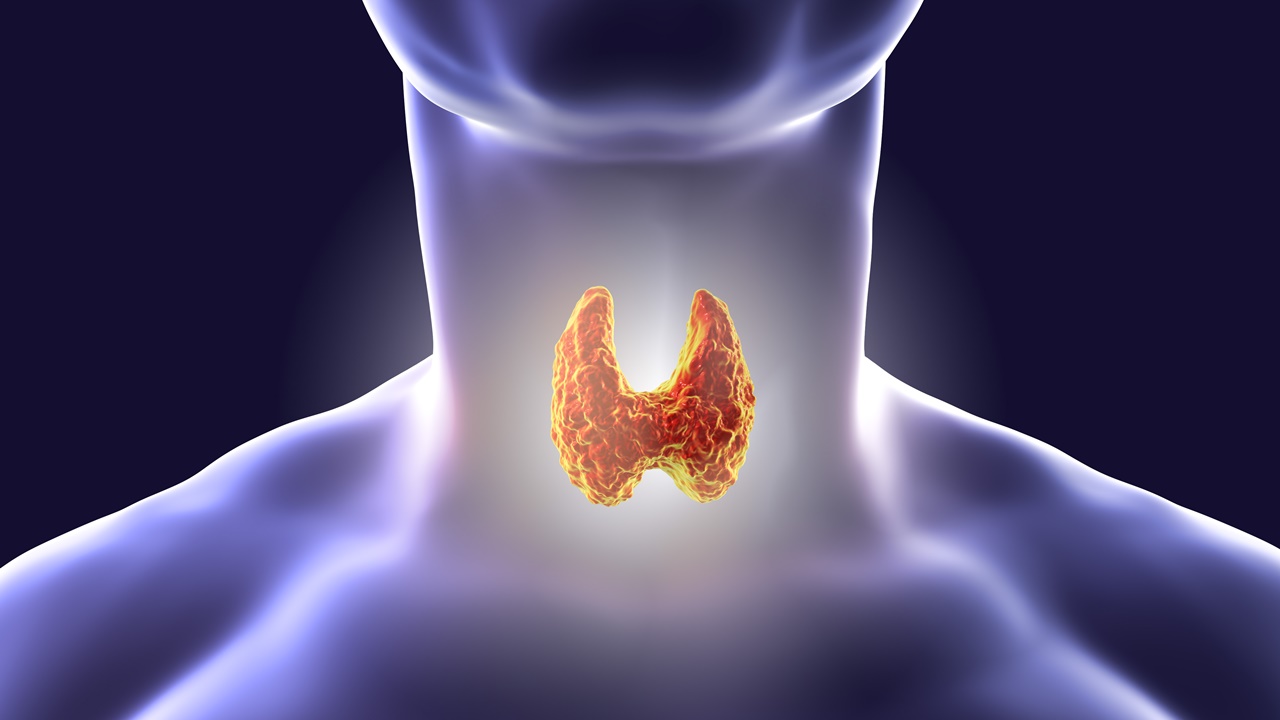 Problemas de tiroides: ¿Cómo identificarlos?