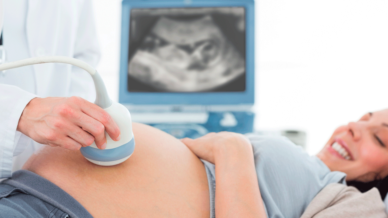 Los chequeos médicos durante el embarazo: mes a mes